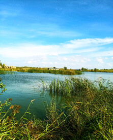 黑龙江大庆鹤鸣湖湿地