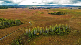 黑龙江伊春新青湿地