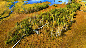 黑龙江伊春新青湿地