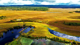 黑龙江伊春新青湿地