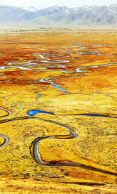 甘肃阿万仓湿地