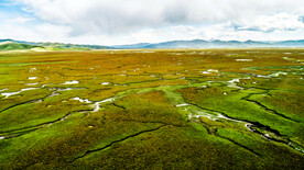 甘肃阿万仓湿地