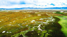甘肃阿万仓湿地
