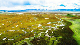 甘肃阿万仓湿地
