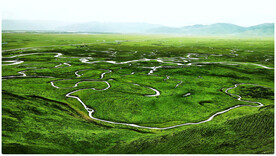 甘肃阿万仓湿地