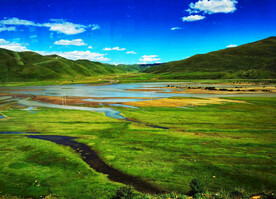 甘肃阿万仓湿地