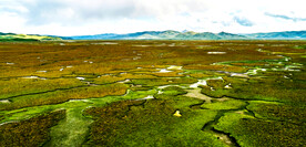 甘肃阿万仓湿地