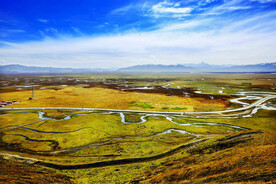 甘肃阿万仓湿地