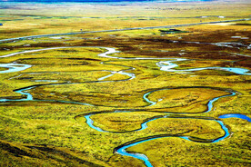 甘肃阿万仓湿地