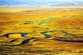 甘肃阿万仓湿地
