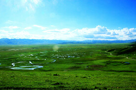 甘肃阿万仓湿地