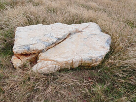 草丛里的白色大石头