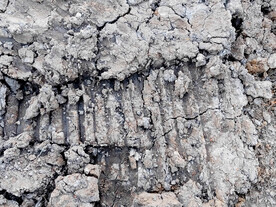 烂泥地上的车辙印