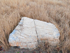 草丛中白色大石头