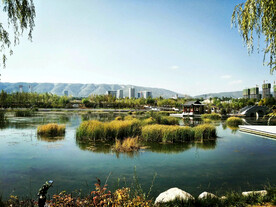 青海西宁北川河湿地公园