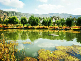 青海西宁北川河湿地公园