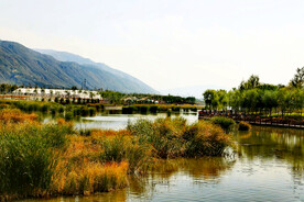 青海西宁北川河湿地公园