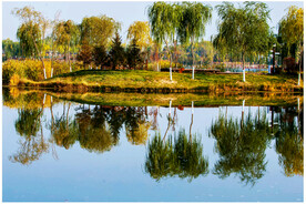 青海西宁北川河湿地公园