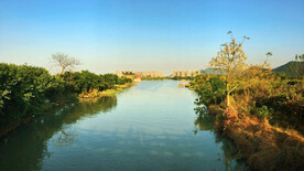 浙江温州三垟湿地公园