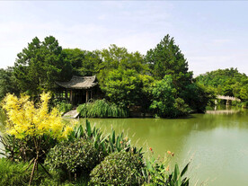 浙江温州三垟湿地公园