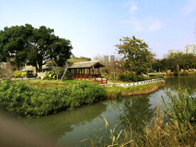 浙江温州三垟湿地公园