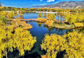 青海西宁北川河湿地公园