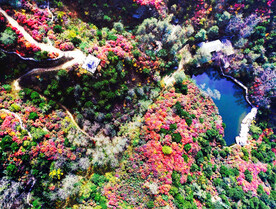 济南九如山瀑布群景区