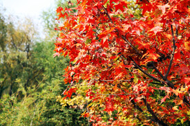 济南九如山瀑布群景区