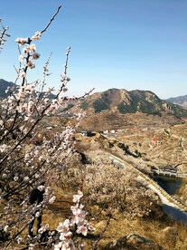 青岛崂山樱桃谷