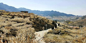 青岛崂山樱桃谷