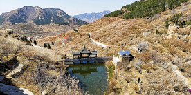 青岛崂山樱桃谷