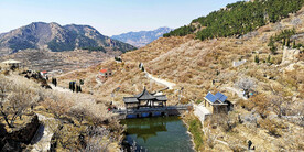 青岛崂山樱桃谷