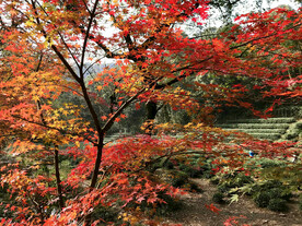 济南九如山瀑布群景区
