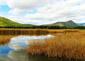 新疆喀纳斯风光