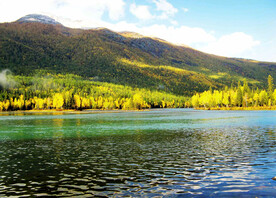 新疆喀纳斯风光