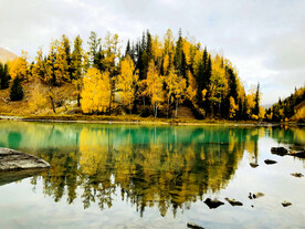 新疆喀纳斯风光