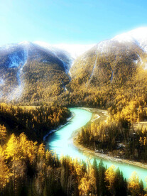 新疆喀纳斯风光