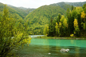 新疆喀纳斯风光