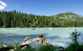 新疆喀纳斯风光