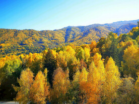 新疆喀纳斯风光