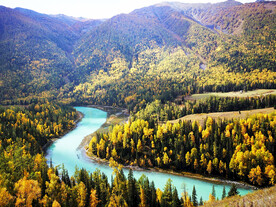 新疆喀纳斯风光