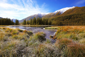 新疆喀纳斯风光