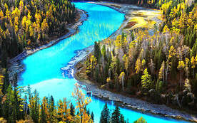 新疆喀纳斯风光