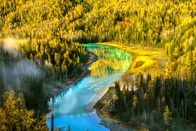 新疆喀纳斯风光