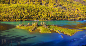 新疆喀纳斯风光