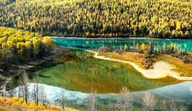 新疆喀纳斯风光