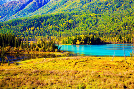 新疆喀纳斯风光