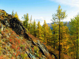 新疆喀纳斯风光