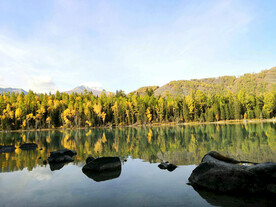 新疆喀纳斯风光