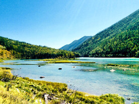 新疆喀纳斯风光